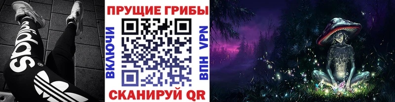 Псилоцибиновые грибы прущие грибы  Анжеро-Судженск 